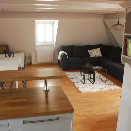 Duplex De Charme Proche Cathedrale