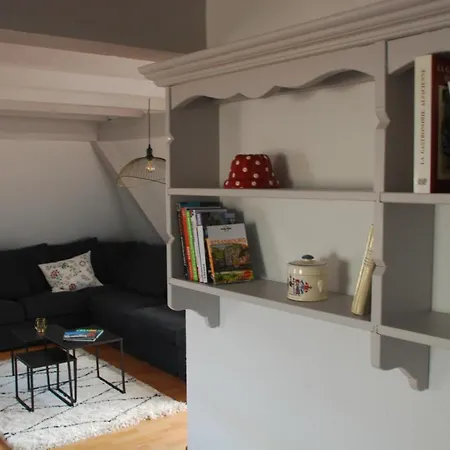 Duplex De Charme Proche Cathedrale Daire