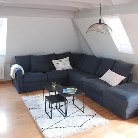 Duplex De Charme Proche Cathedrale